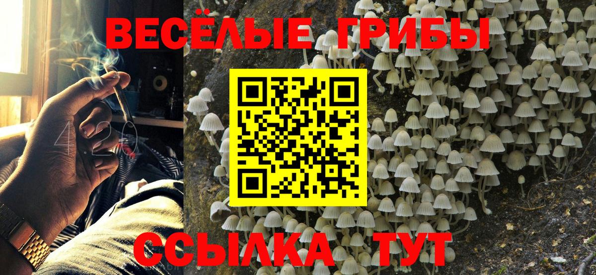 Псилоцибиновые грибы мухоморы  Вход с VPN  Нефтеюганск  Галлюциногенные грибы Psilocybe 